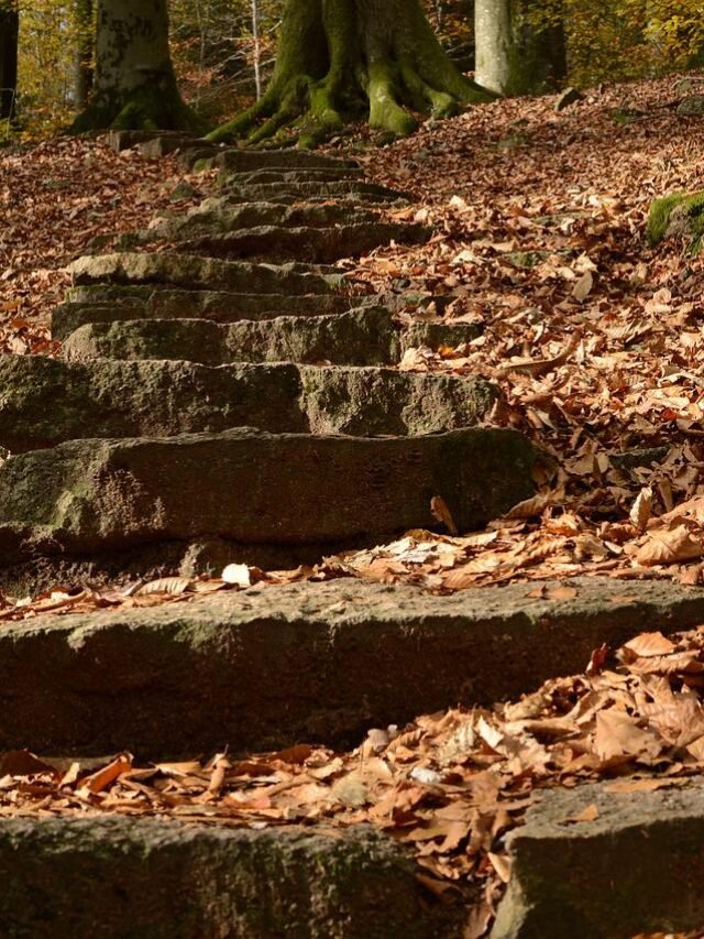 etapas de uma gestão organizada das finanças pessoais